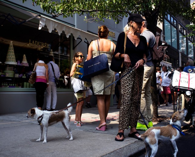 Owner/ Copyright holder