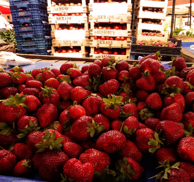 Owner/ Copyright holder