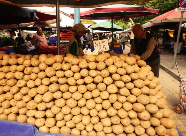 Owner/ Copyright holder