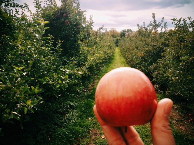 Processed with VSCOcam with c1 preset