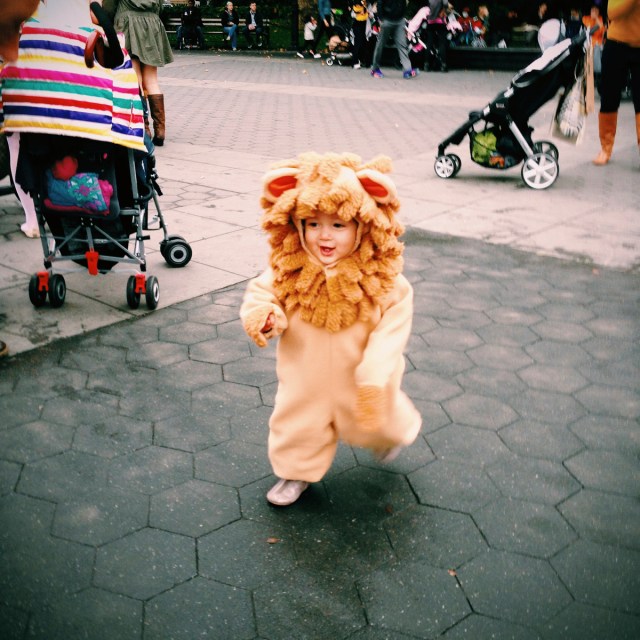 Processed with VSCOcam with c1 preset