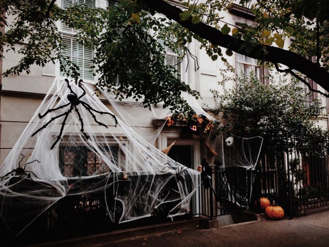 Processed with VSCOcam with m5 preset