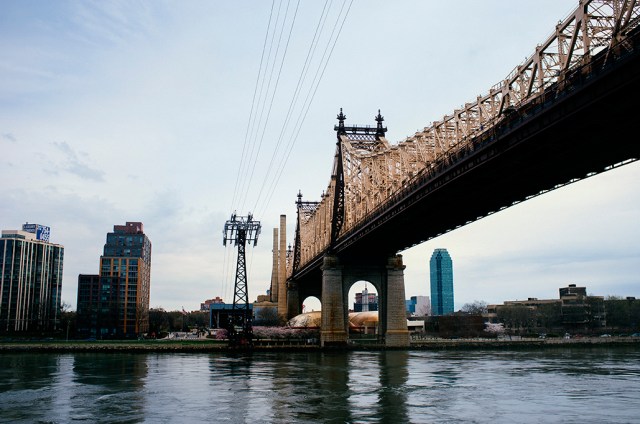 Owner/ Copyright holder